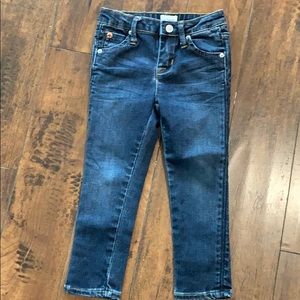 EUC Hudson Jeans with Adjustable Waist